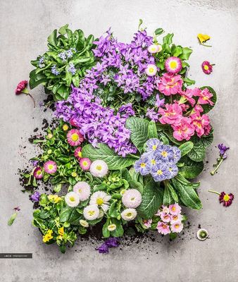 自然與蔬食的融合 蔬菜主題花卉園藝平面設計素材高清圖集